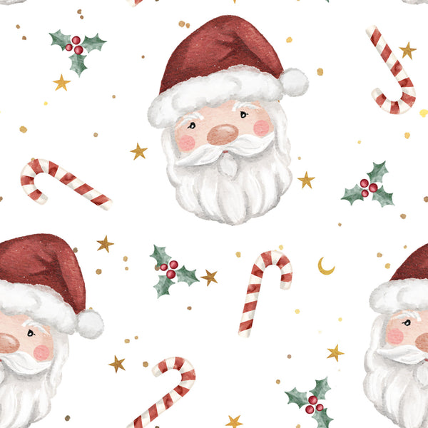 Vintage Santa